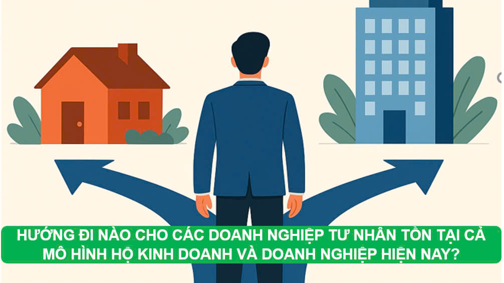 Hướng Đi Nào Cho Các Doanh Nghiệp Tư Nhân Cùng Tồn Tại Cả Mô Hình Hộ Kinh Doanh và Doanh Nghiệp?